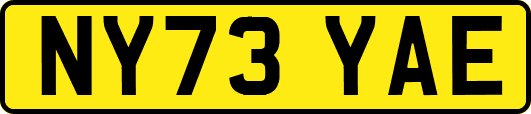 NY73YAE