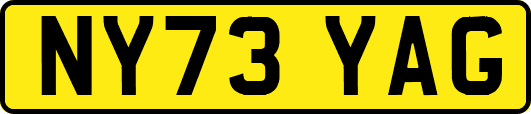 NY73YAG