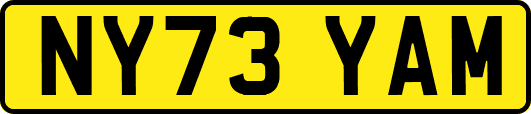 NY73YAM