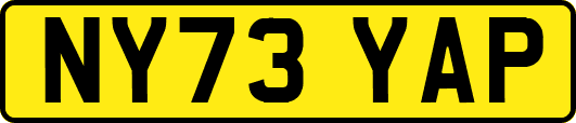 NY73YAP