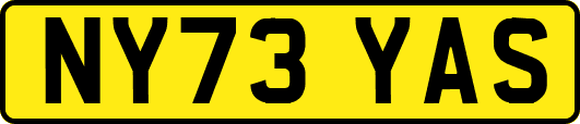 NY73YAS