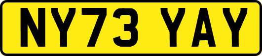 NY73YAY