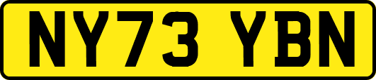 NY73YBN