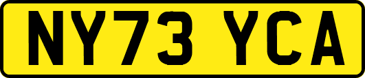 NY73YCA