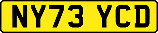 NY73YCD
