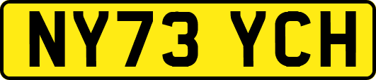 NY73YCH