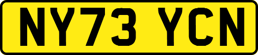 NY73YCN