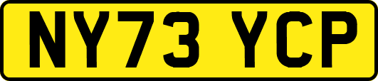 NY73YCP