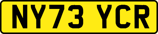 NY73YCR