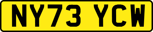 NY73YCW
