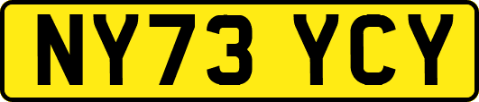 NY73YCY