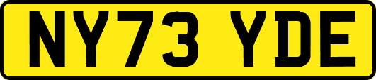 NY73YDE