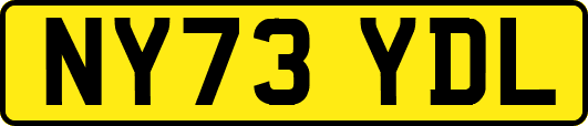 NY73YDL