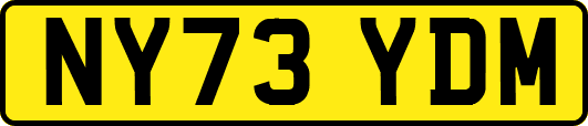 NY73YDM