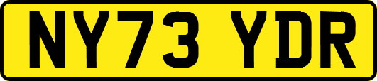 NY73YDR