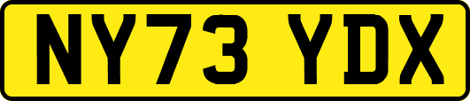 NY73YDX
