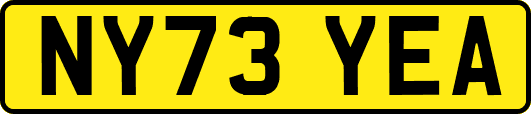 NY73YEA