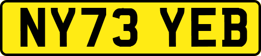 NY73YEB