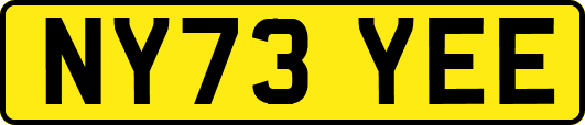 NY73YEE