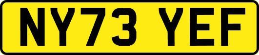 NY73YEF