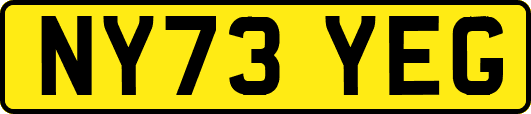 NY73YEG