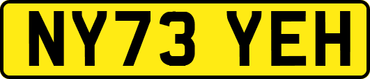 NY73YEH