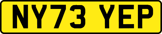NY73YEP