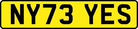 NY73YES