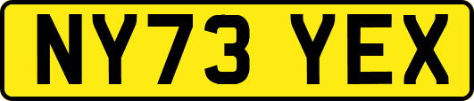 NY73YEX
