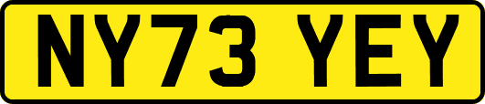 NY73YEY