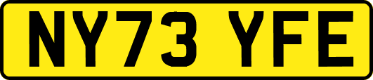 NY73YFE
