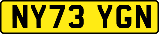 NY73YGN