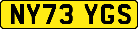 NY73YGS