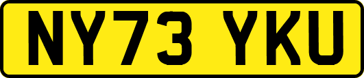 NY73YKU