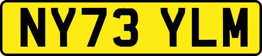 NY73YLM