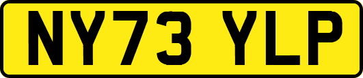 NY73YLP