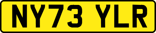 NY73YLR