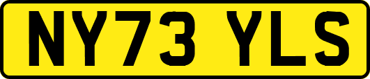 NY73YLS