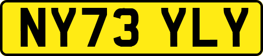 NY73YLY