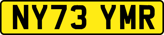 NY73YMR