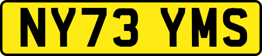 NY73YMS
