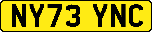NY73YNC