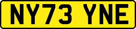 NY73YNE