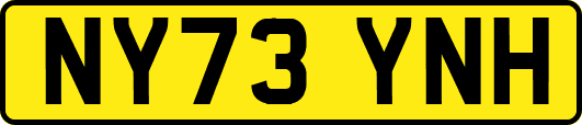 NY73YNH
