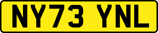 NY73YNL