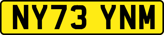 NY73YNM