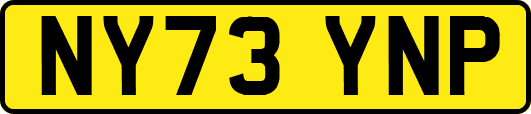 NY73YNP