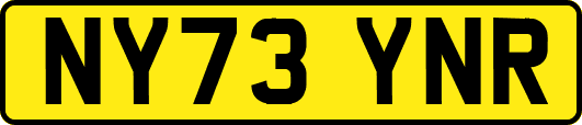 NY73YNR