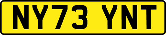 NY73YNT