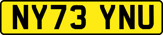 NY73YNU